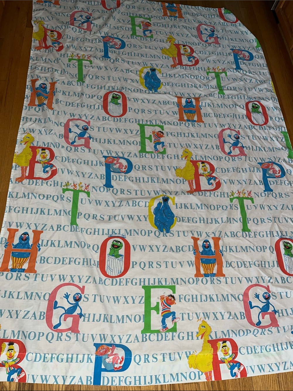Vtg SESAME STREET Twin Flat Sheet Alphabet Big Bird Oscar Bert Ernie+ 80s/90s